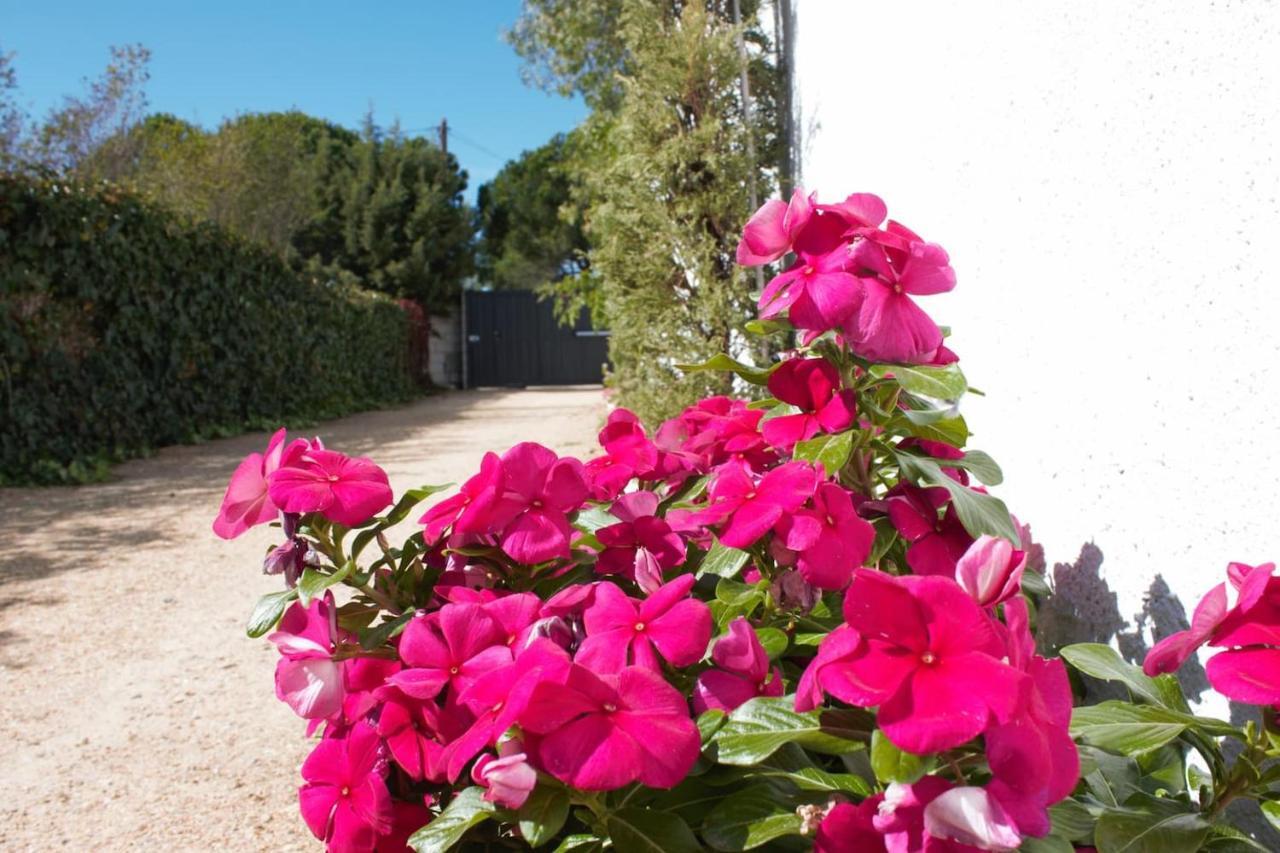 Finca Paredes Valdetorres de Jarama 外观 照片