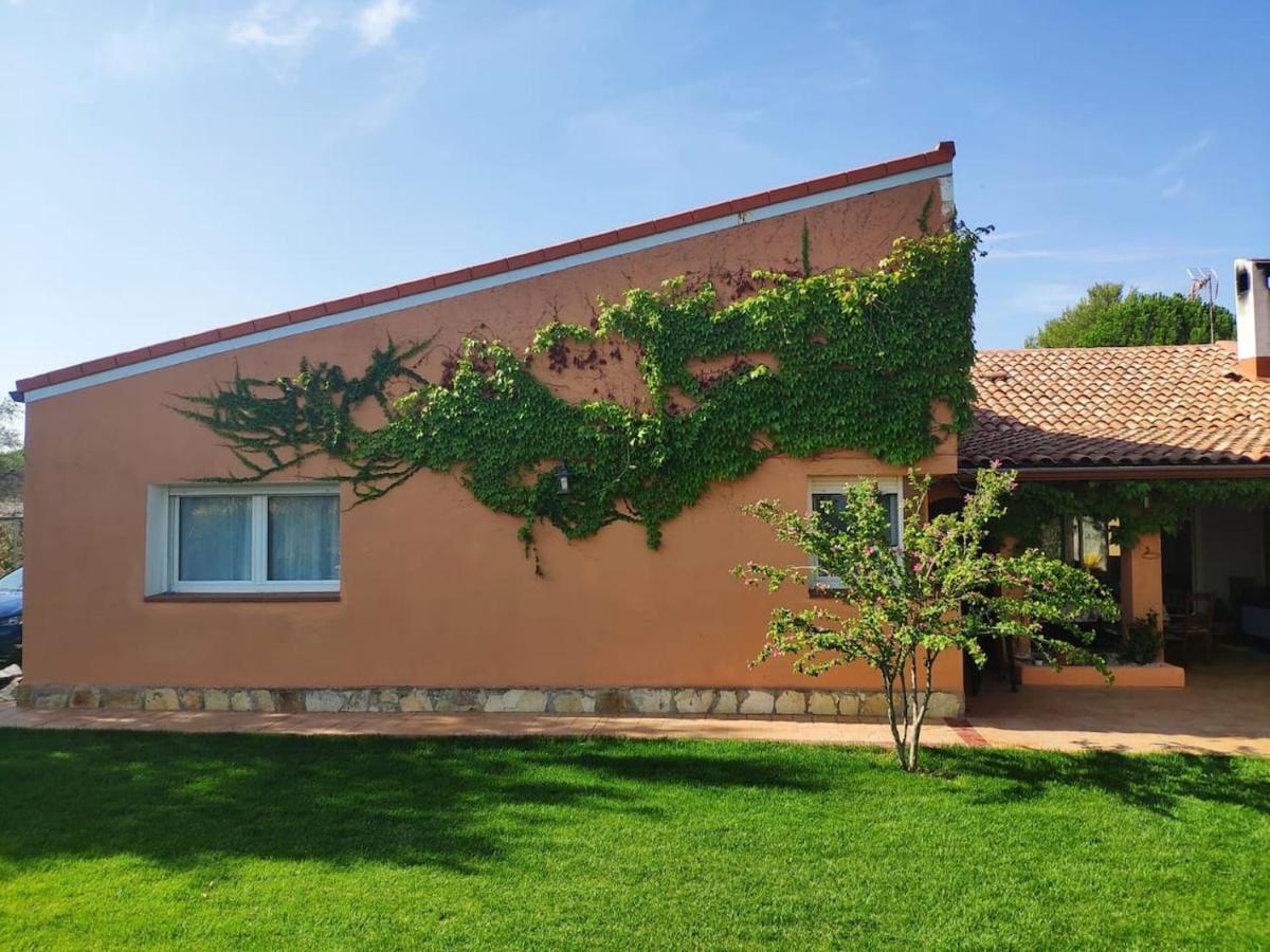 Finca Paredes Valdetorres de Jarama 外观 照片