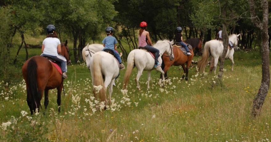 Finca Paredes Valdetorres de Jarama 外观 照片